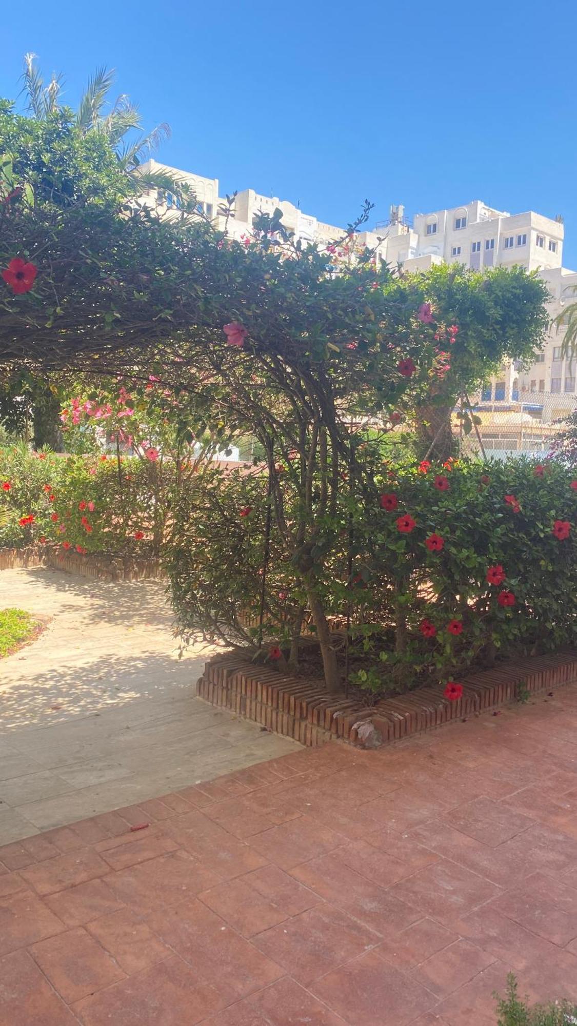 Apartment En Playa Serena *